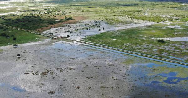 La Nación / Pilcomayo: advierten que riada que baja desde Bolivia podría causar inundaciones