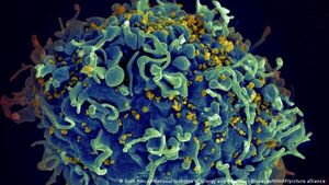 Fármaco contra el cáncer puede revertir la latencia del VIH, según estudio