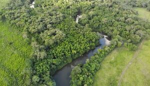 Tres arroyos de cristalinas aguas y el verde paisaje invitan a visitar el  Norte - Nacionales - ABC Color