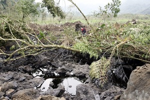 La rotura de un oleoducto en Ecuador genera un vertido de petróleo en una zona amazónica - MarketData