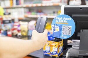 Destaca importante crecimiento del uso de medios digitales como forma de pago  - Nacionales - ABC Color