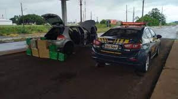 Ponta Porã: PRF incauta 267 kg de marihuana