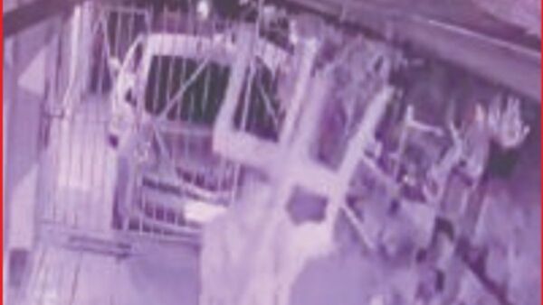 Video: A sillazos corrió a 2 ladrones