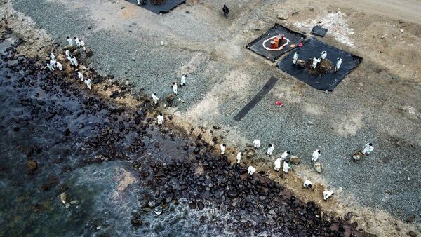 Aves marinas mueren tras derrame de crudo en Perú