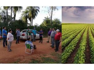 San Juan Bautista: Vecinos se oponen a la plantación de soja