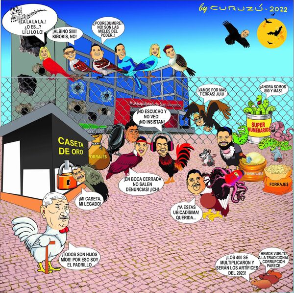 Mbeguemi Online: Sobre buitres y otras aves » San Lorenzo PY
