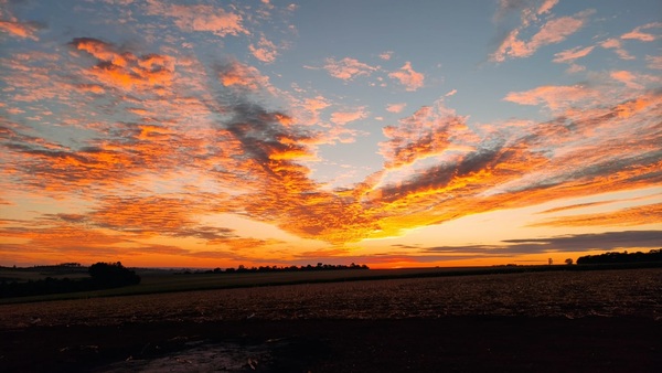 Meteorología anuncia lunes caluroso