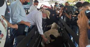 La Nación / Primer periodo de vacunación contra aftosa tiene por objetivo inmunizar a 13.600.000 animales