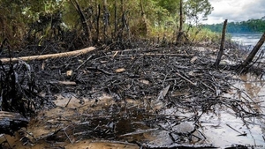 Diario HOY | Derrame petrolero afectó a reserva ambiental y un río en Amazonia ecuatoriana