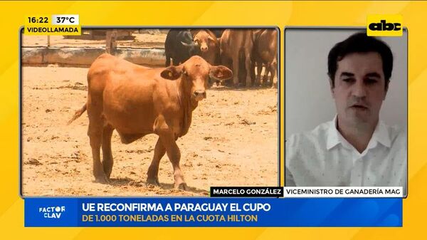 UE reconfirma a Paraguay el cupo de 1.000 toneladas en la Cuota Hilton - Factor Clave - ABC Color