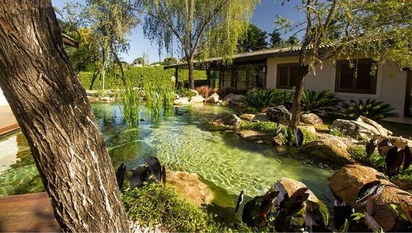 Bioma Ecossistemas, la empresa brasileña que proyecta llegar a Paraguay con su oferta de piscinas ornamentales