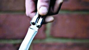 Clavó a su mamá en el brazo tras una discusión entre hermanos