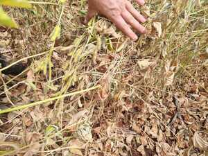 Amualpa y gremio de la producción coordinan acciones para asistir a labriegos - La Clave