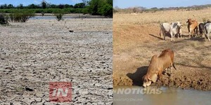 CRISIS HÍDRICA EN EL DEPARTAMENTO DE ITAPÚA DURARÁ HASTA SEPTIEMBRE - Itapúa Noticias