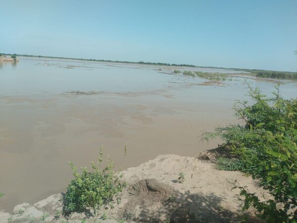 Repunte del río Pilcomayo activa la alarma roja en territorio nacional | OnLivePy