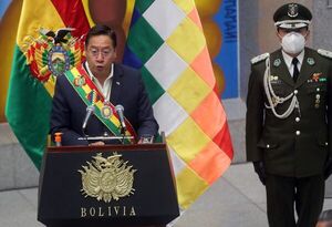 Arce pide crear comisión que revise los casos de feminicidio en Bolivia - Mundo - ABC Color