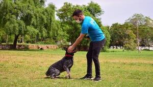 Gualk: el innovador servicio integral para perros obtuvo un 93% de eficiencia en adiestramiento