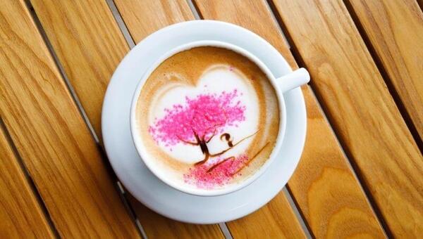 Artesanos Café: una cafetería que agrega colores a tu taza (el café Tajy es la estrella)