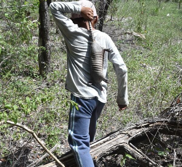 Cacería es opción para alimentarse, pero hasta los bichos se escaparon - Nacionales - ABC Color