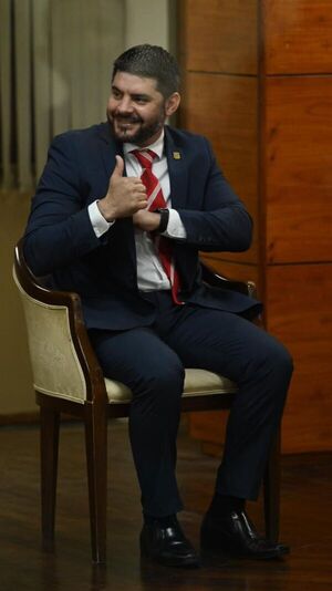 En año electoral, Nenecho compró más de 88.000 unidades de chapas - Nacionales - ABC Color