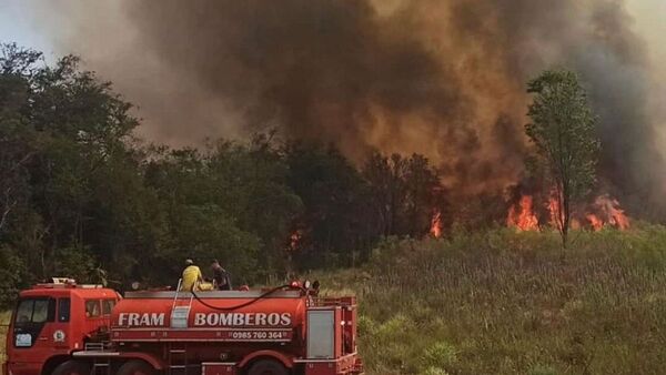 Se queman unas 100 hectáreas de bosque y cultivos de soja en Itapúa