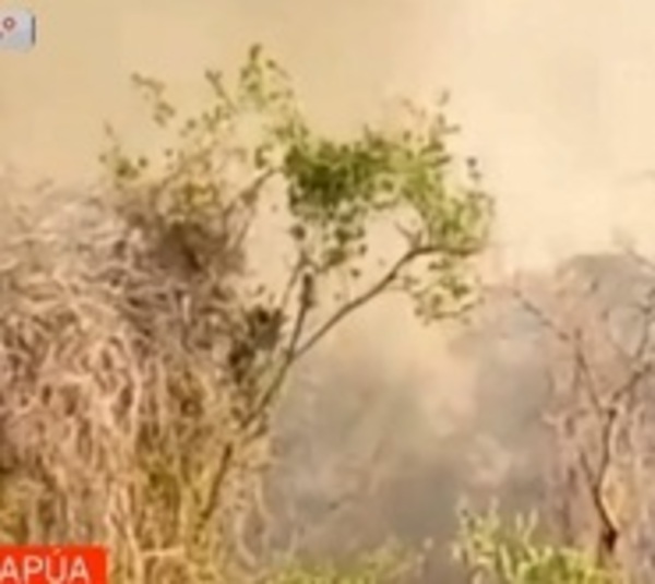Voraz incendio forestal entre Uru Sapucái y Encarnación - Paraguay.com
