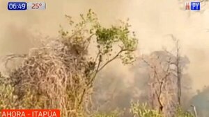 Reportan incendio forestal entre Uru Sapucái y Encarnación | Noticias Paraguay