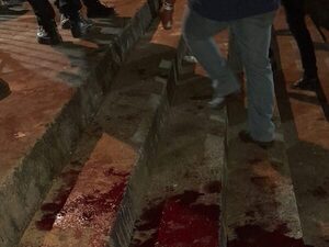 Domingo sangriento, mafia y democracia