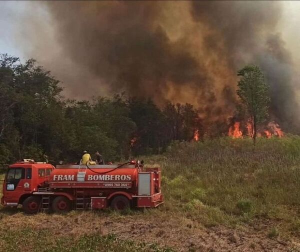 Se queman unas 100 hectáreas de bosque y cultivos de soja en Itapúa