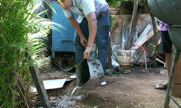 Casi 1.000 casos sospechosos de dengue se registraron al inicio del año - OviedoPress