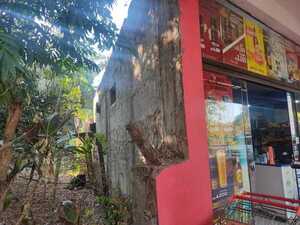 Delincuentes hurtan caja registradora y celulares de un comercio en Capitán Miranda