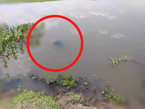 Encuentran muerto a un anciano en el arroyo Aguapey