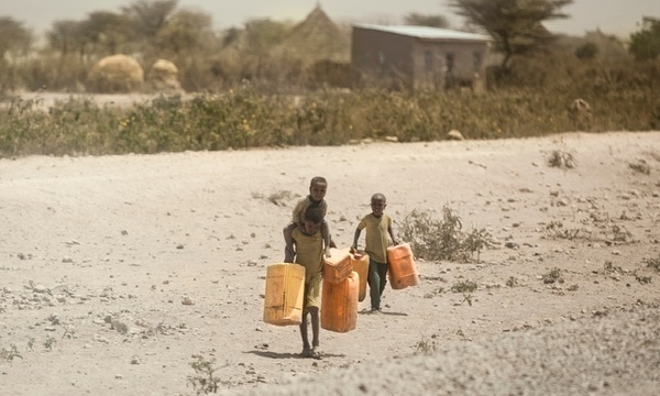 África, el continente más afectado por el calentamiento global | Telefuturo