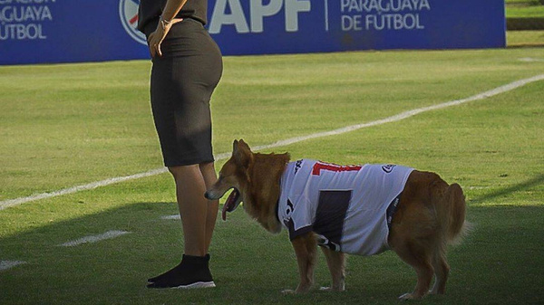 Crónica / "Chichi", la nueva "Tesapara" que aparece en las canchas como asistente técnico en cancha