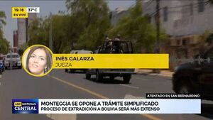 Monteggia se opone a trámite simplificado - ABC Noticias - ABC Color