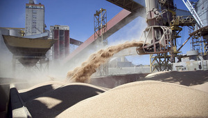 Molienda de soja del 2021 fue la más baja en 8 años