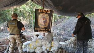 El narcotráfico y la esperanza