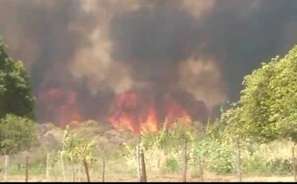 Increíble: Vecinos intentaron impedir que bomberos recarguen agua para combatir incendio