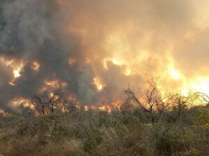 Itapúa sigue ardiendo en llamas - ADN Digital
