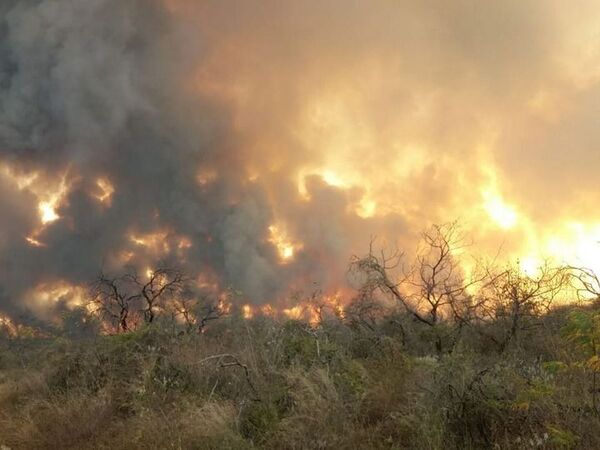 Itapúa sigue ardiendo en llamas - ADN Digital