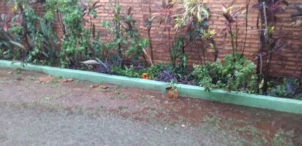 Intensa lluvia en San Juan Bautista - Nacionales - ABC Color