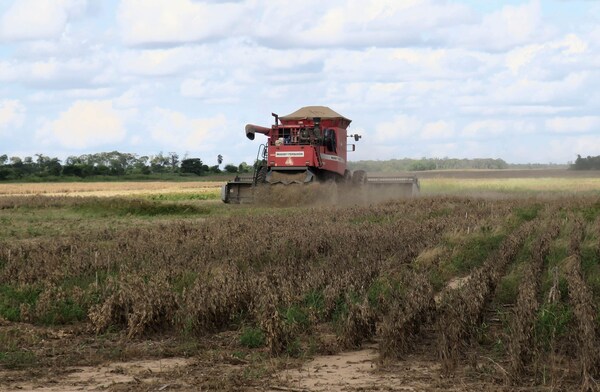 Agricultores bolivianos piden biotecnología para aprovechar el precio de la soya - MarketData