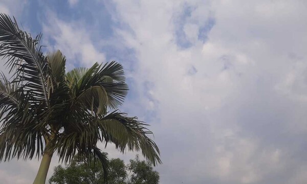 Continuarán las lluvias en Coronel Oviedo – Prensa 5