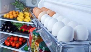 La inocuidad de alimentos ante los días de exceso calor - Estilo de vida - ABC Color