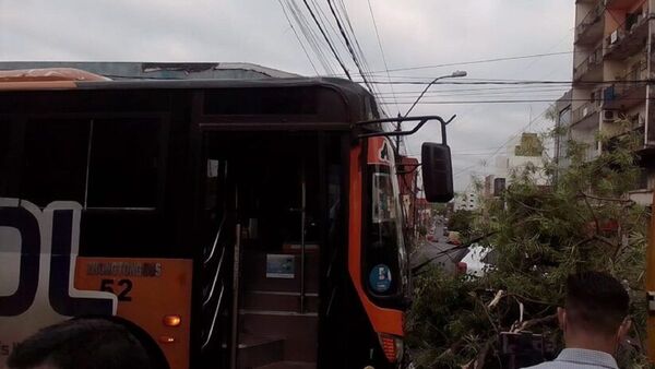 Colectivero perdió los frenos, avisó a sus pasajeros y chocó contra un árbol