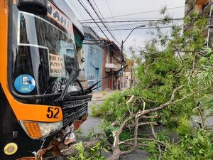 Bus protagoniza accidente tras quedarse aparentemente sin frenos - Nacionales - ABC Color