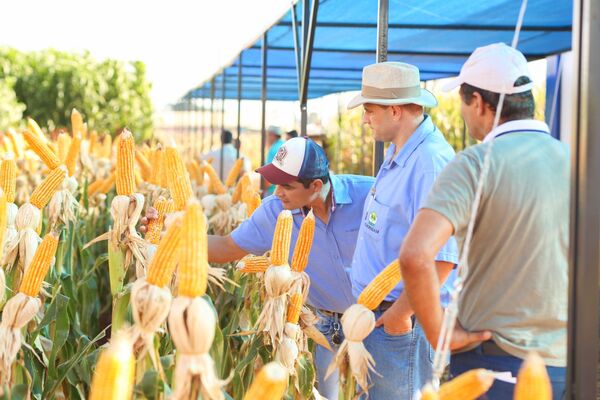Más de 20 empresas presentarán cultivos demostrativos en Innovar 2022