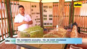 ABC RURAL: Cultivo y aprovechamiento de Eucalipto en Hortipar - ABC Rural - ABC Color