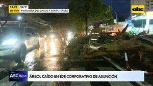 Efectos del temporal en Eje Corporativo de Asunción - ABC Noticias - ABC Color