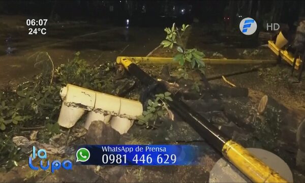Sin luz y con árboles caídos después de la tormenta | Telefuturo